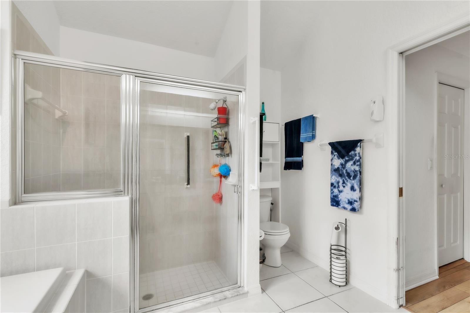 22946 BROWNWOOD CT, LAND O LAKES, FL, 34639