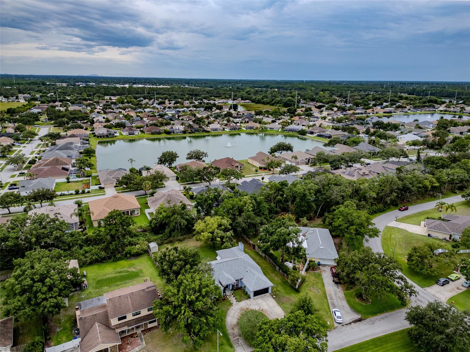 22946 BROWNWOOD CT, LAND O LAKES, FL, 34639