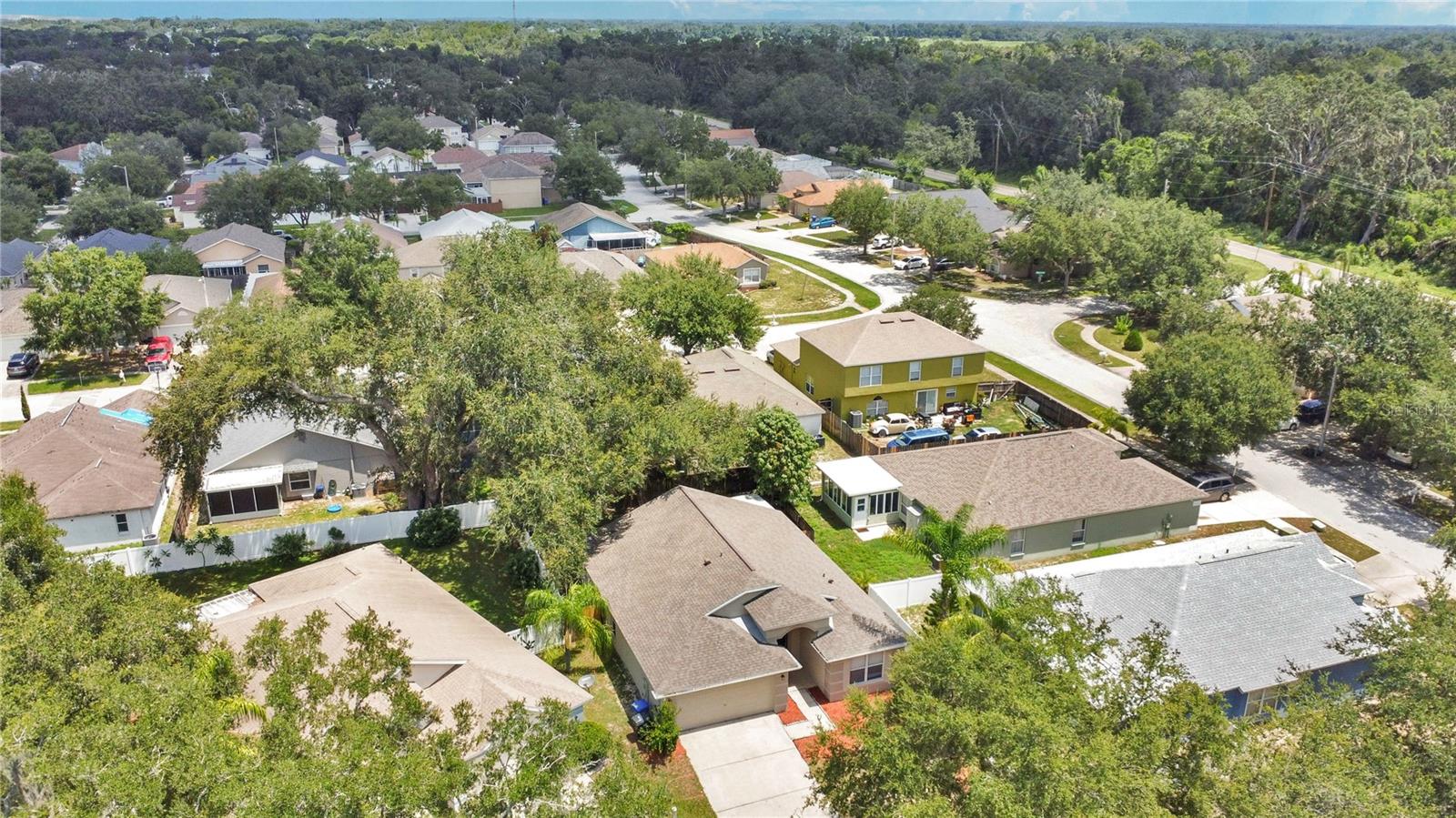 4706 DRAGON TAIL CT, VALRICO, FL, 33594