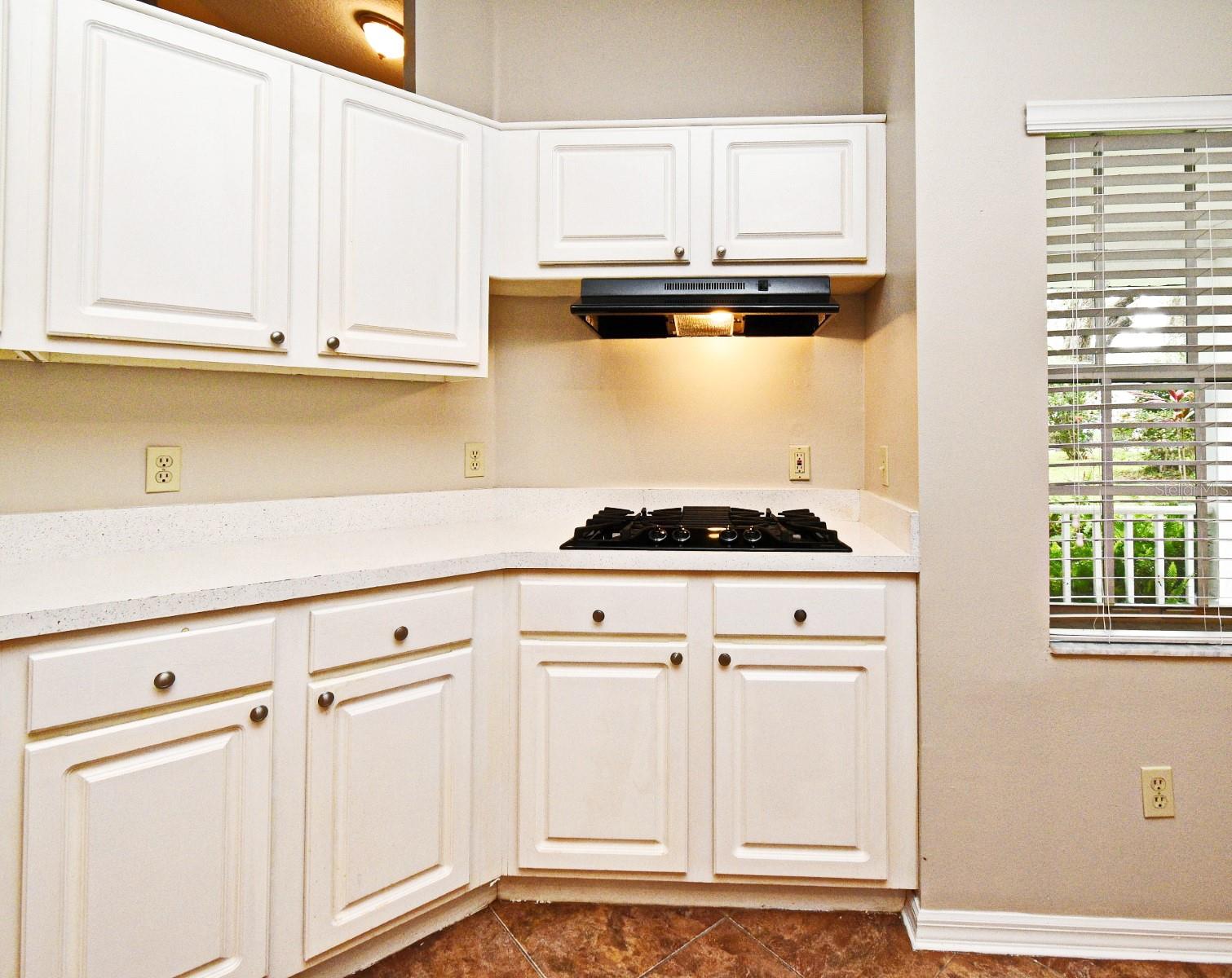 33042 LAKE BEND CIR, LEESBURG, FL, 34788