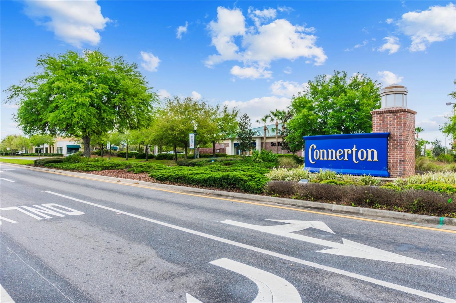 21284 SOUTHERN CHARM DR, LAND O LAKES, FL, 34637