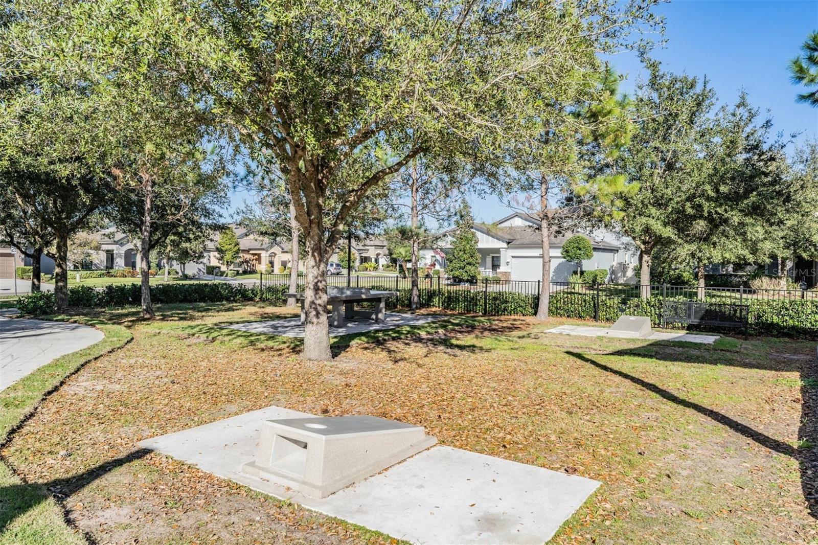 21284 SOUTHERN CHARM DR, LAND O LAKES, FL, 34637
