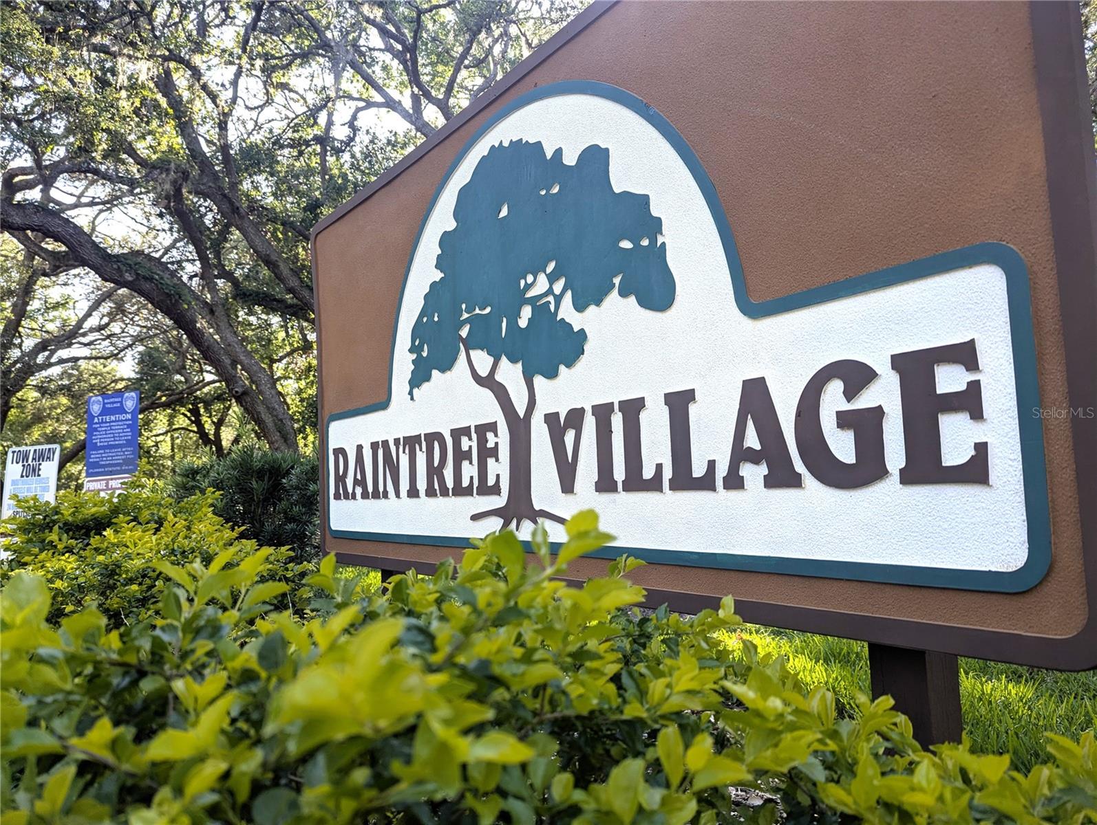 11705 RAINTREE VILLAGE BLVD #C, TEMPLE TERRACE, FL, 33617