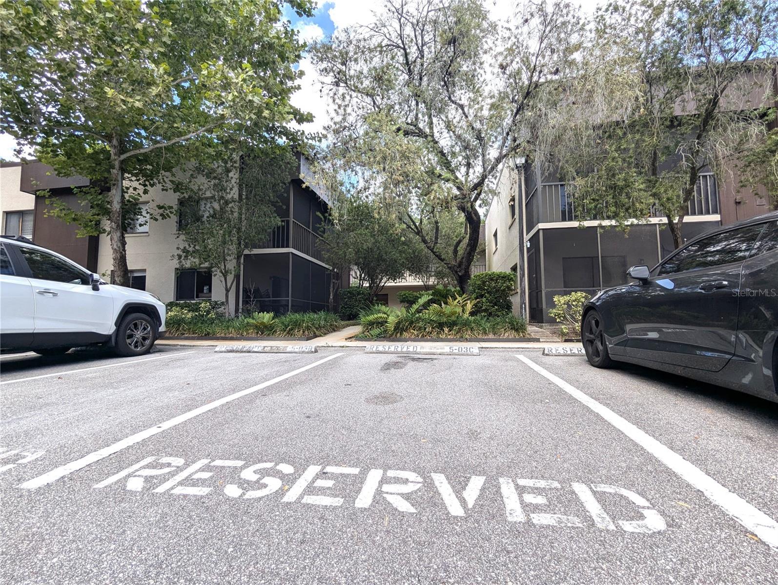 11705 RAINTREE VILLAGE BLVD #C, TEMPLE TERRACE, FL, 33617