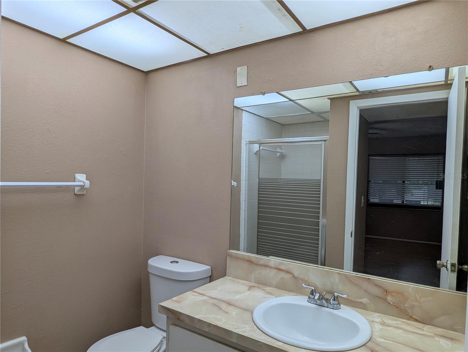 11705 RAINTREE VILLAGE BLVD #C, TEMPLE TERRACE, FL, 33617