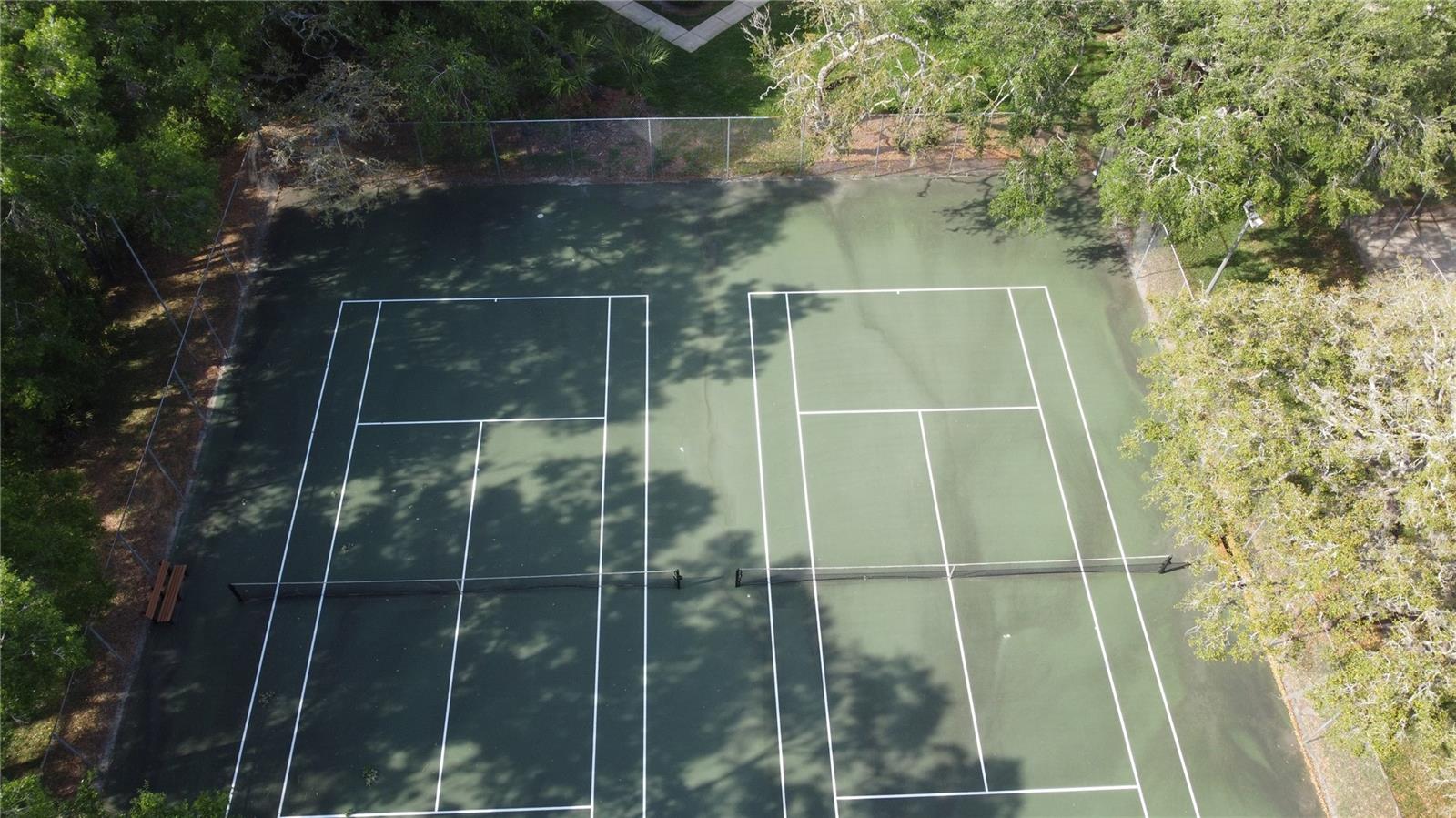 11705 RAINTREE VILLAGE BLVD #C, TEMPLE TERRACE, FL, 33617