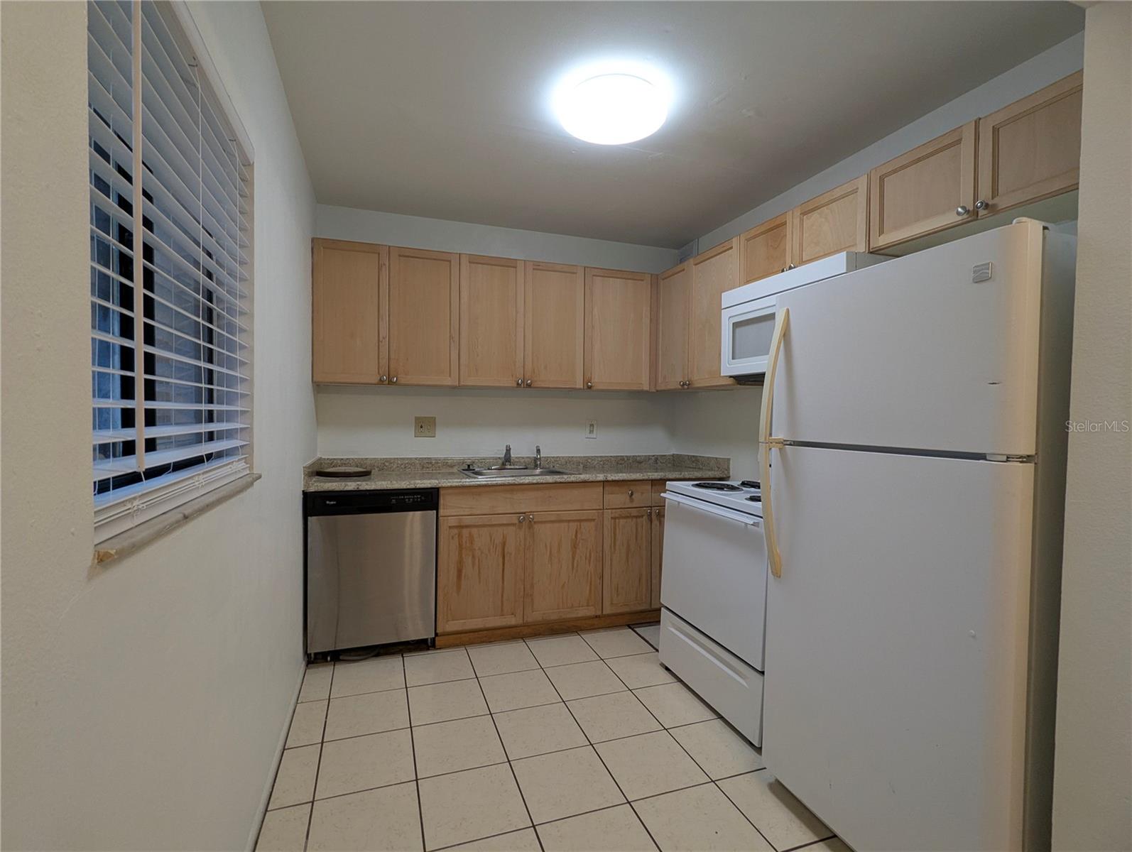 11705 RAINTREE VILLAGE BLVD #C, TEMPLE TERRACE, FL, 33617