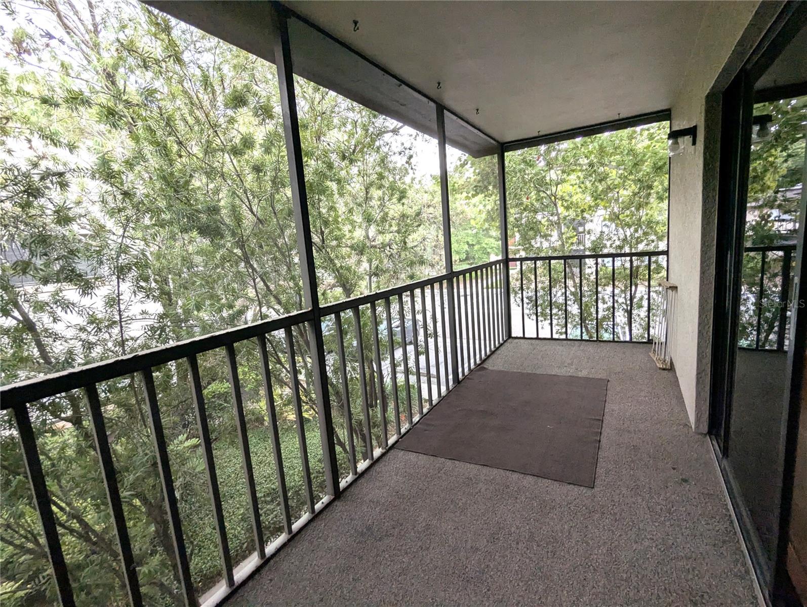 11705 RAINTREE VILLAGE BLVD #C, TEMPLE TERRACE, FL, 33617