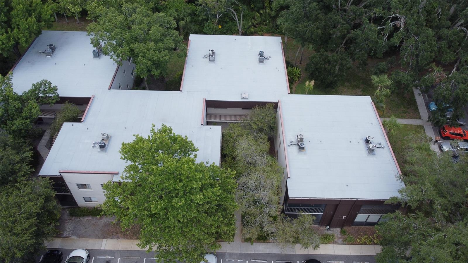 11705 RAINTREE VILLAGE BLVD #C, TEMPLE TERRACE, FL, 33617