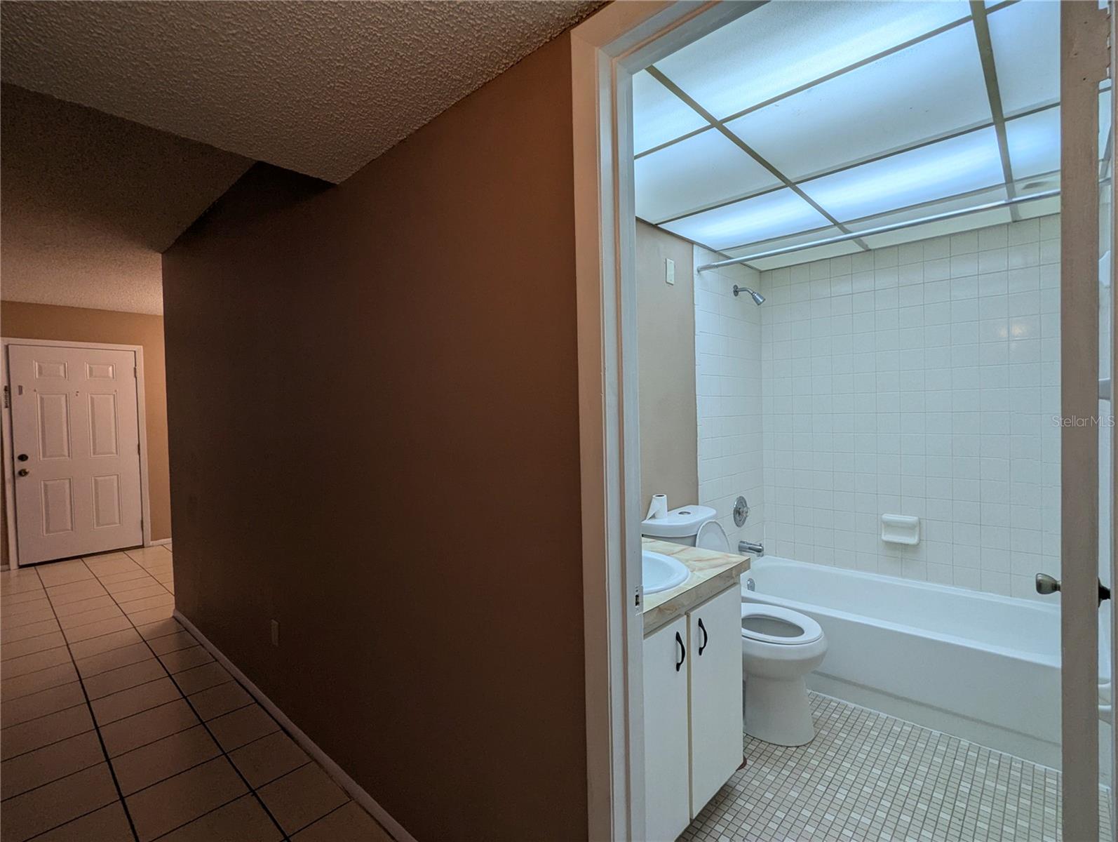 11705 RAINTREE VILLAGE BLVD #C, TEMPLE TERRACE, FL, 33617