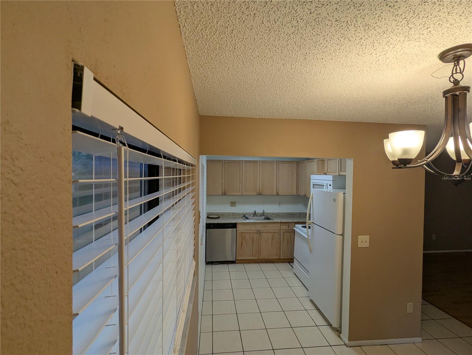 11705 RAINTREE VILLAGE BLVD #C, TEMPLE TERRACE, FL, 33617