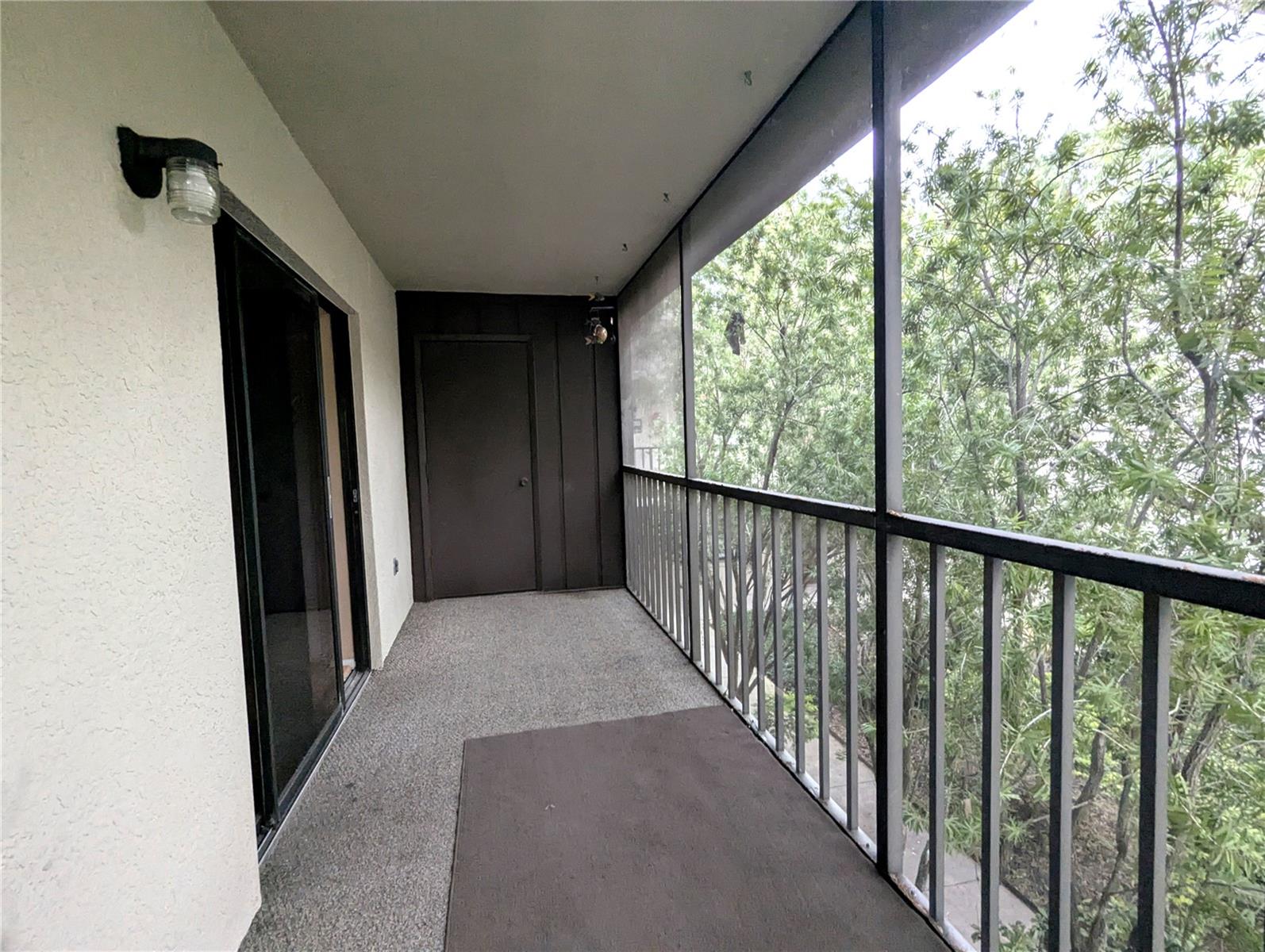 11705 RAINTREE VILLAGE BLVD #C, TEMPLE TERRACE, FL, 33617