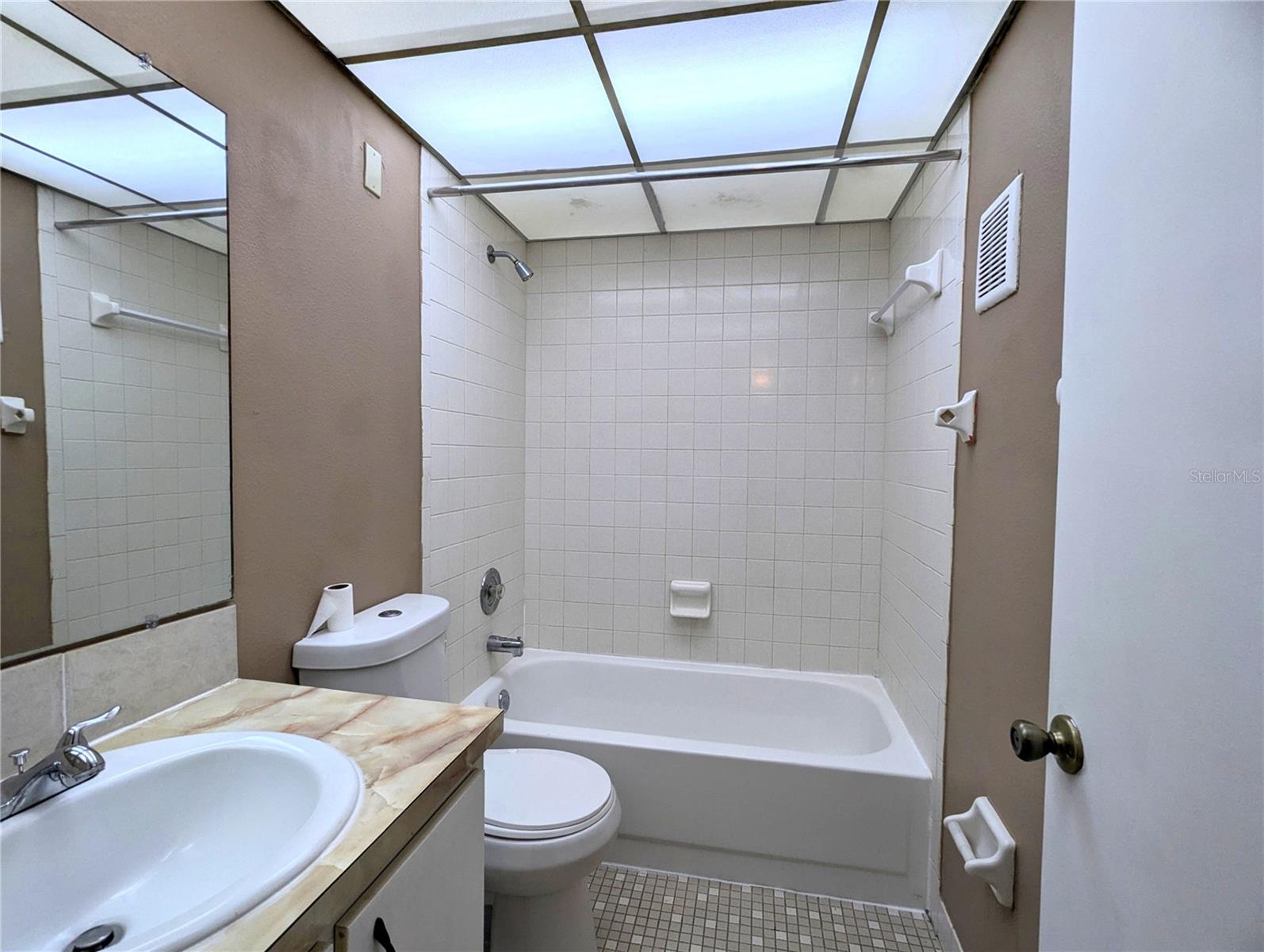 11705 RAINTREE VILLAGE BLVD #C, TEMPLE TERRACE, FL, 33617