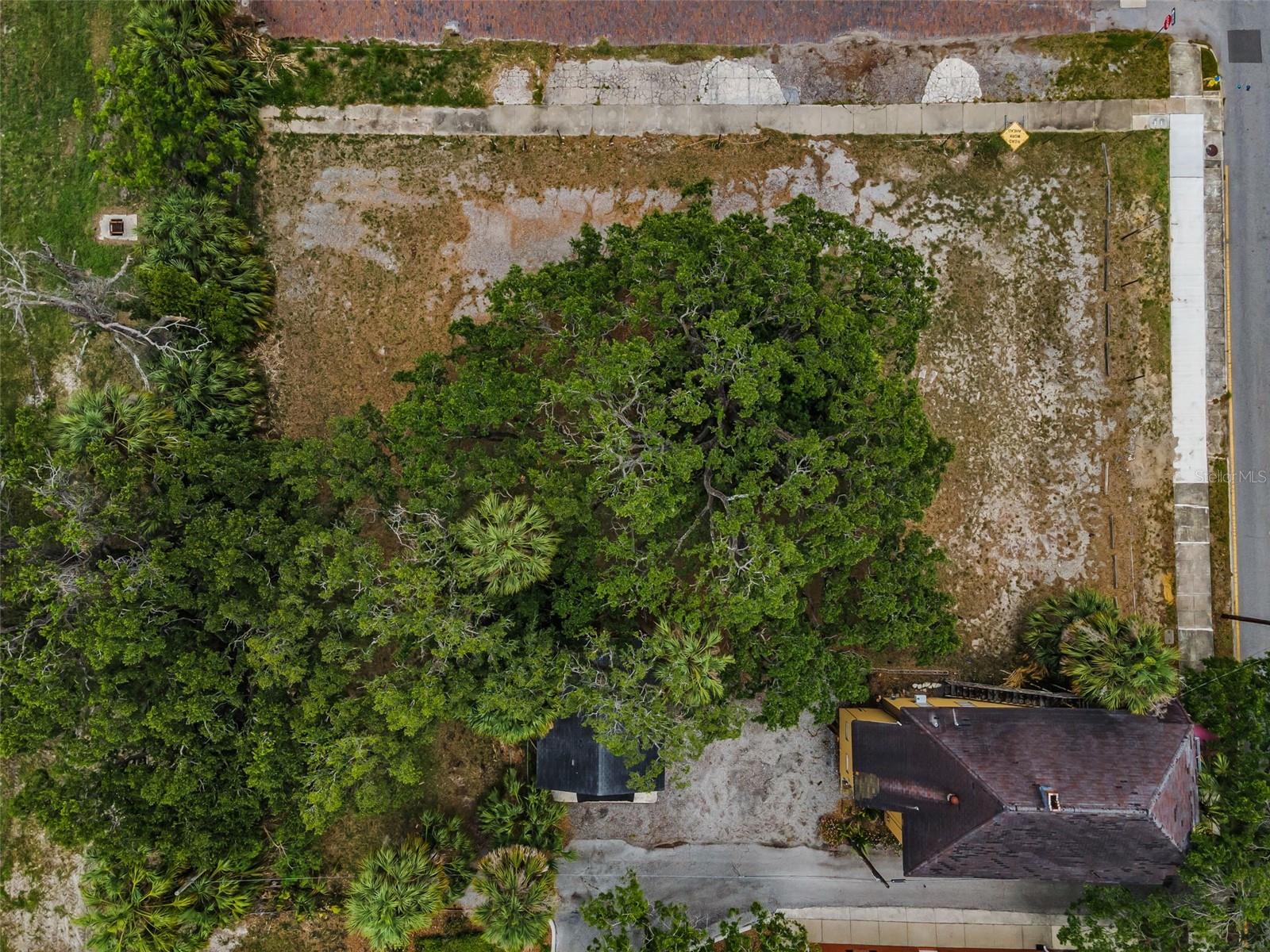 1003, 1005, 1009 W PLATT ST, TAMPA, FL, 33606