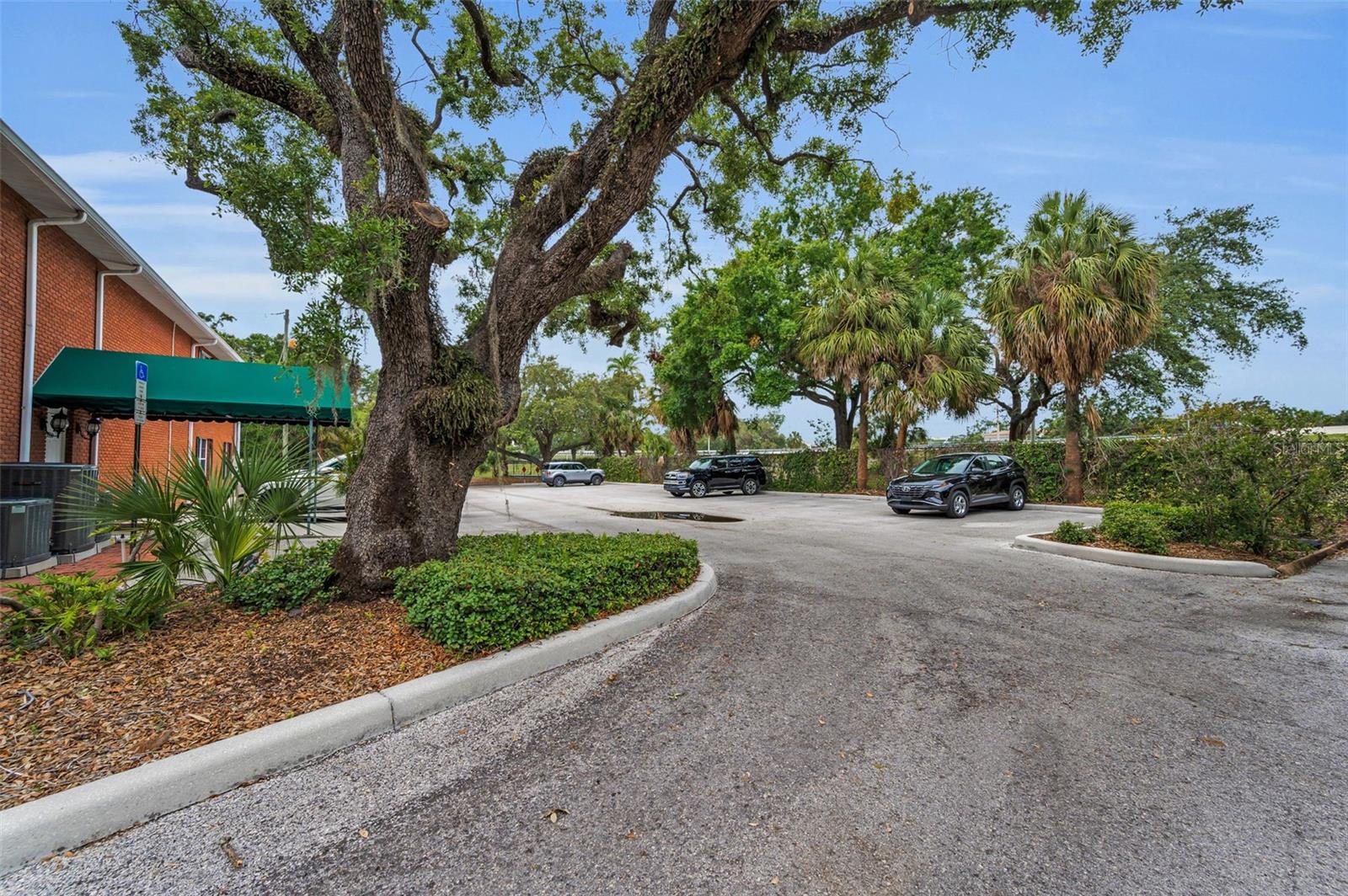 1003, 1005, 1009 W PLATT ST, TAMPA, FL, 33606