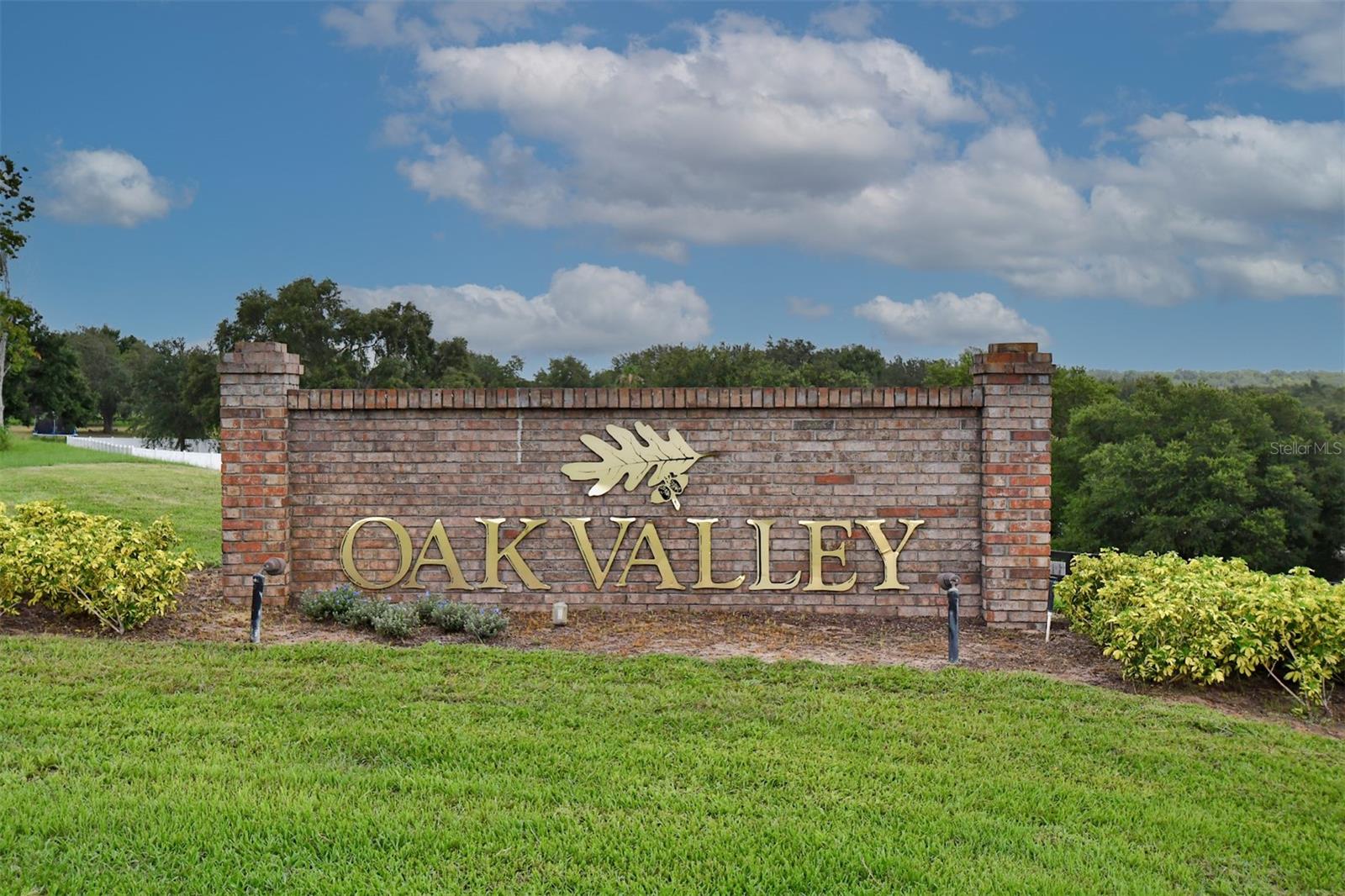 1132 HILL MOUNT DR, MINNEOLA, FL, 34715