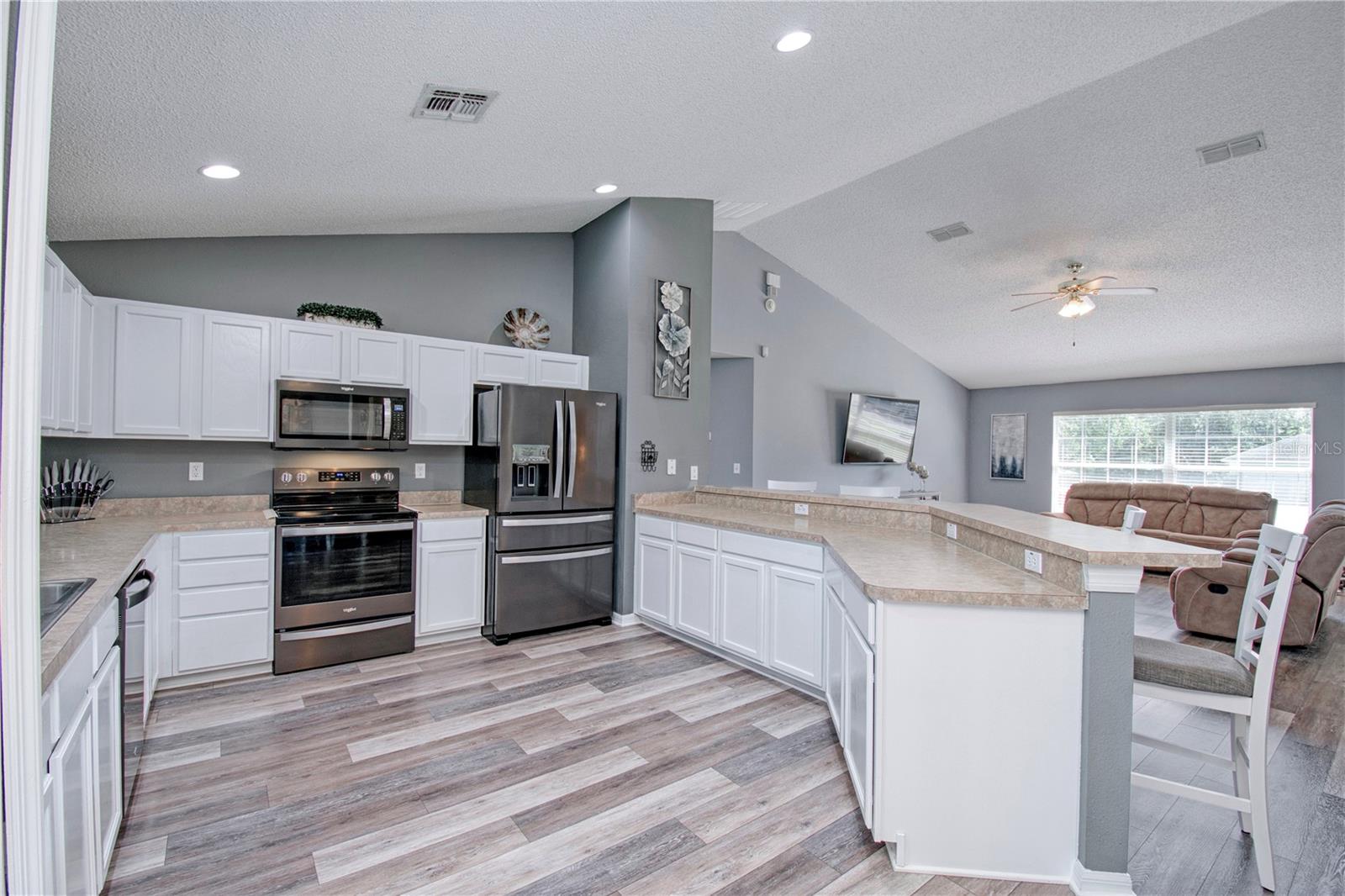 1132 HILL MOUNT DR, MINNEOLA, FL, 34715