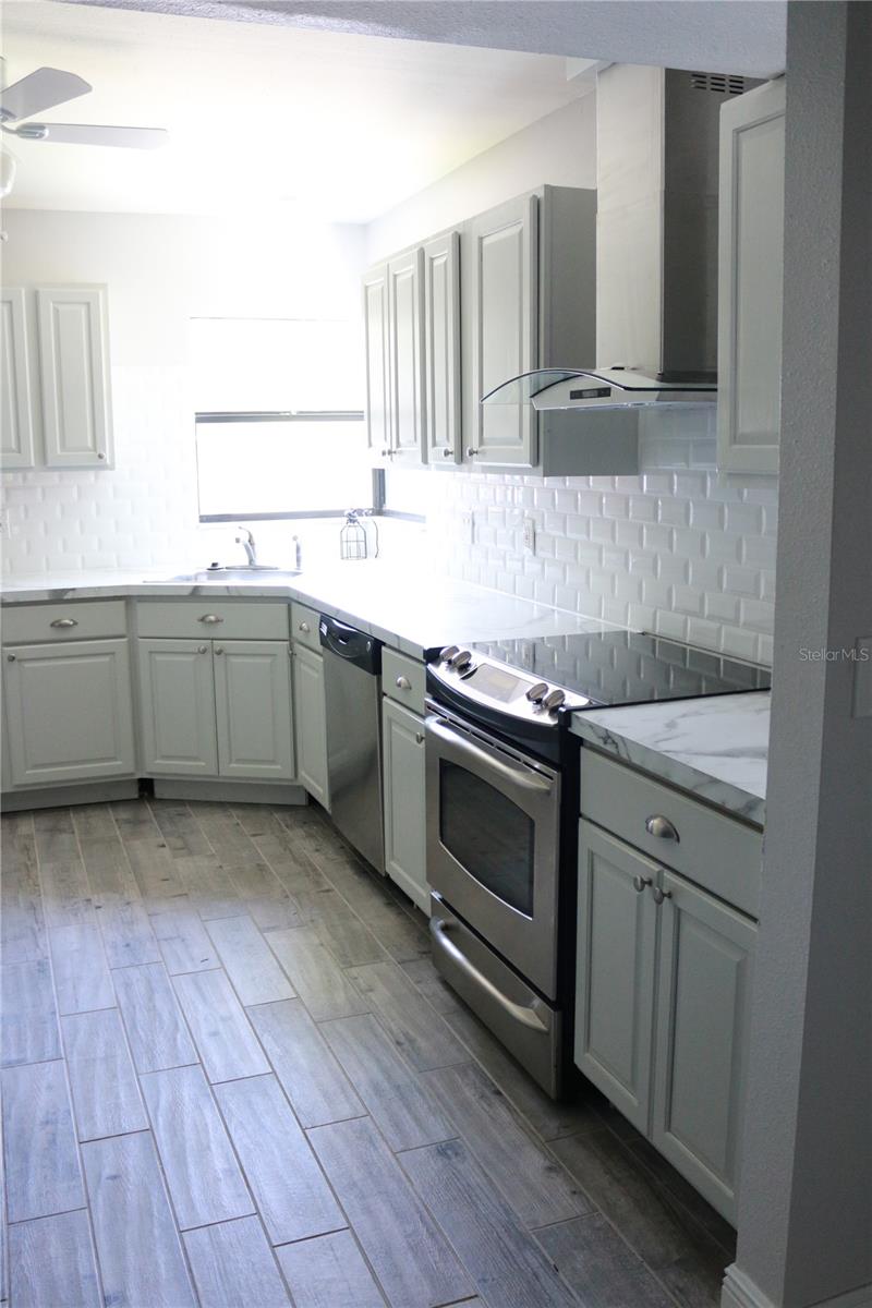 1200 TARPON WOODS BLVD #M6, PALM HARBOR, FL, 34685