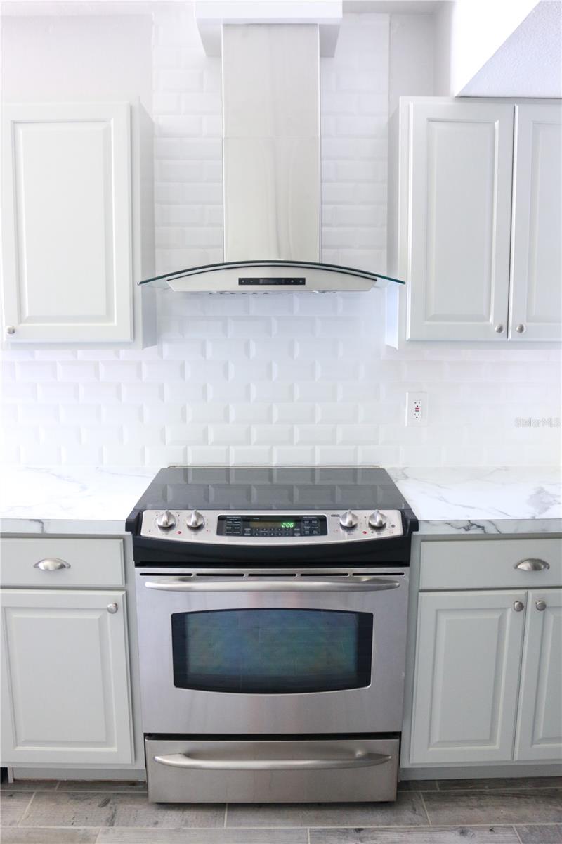 1200 TARPON WOODS BLVD #M6, PALM HARBOR, FL, 34685