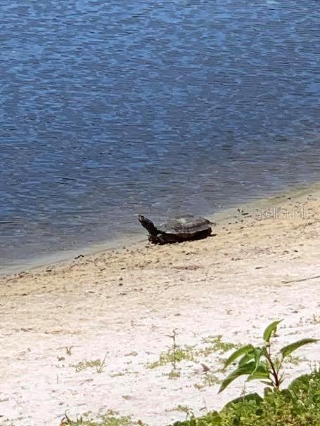 4850 51ST ST W #3204, BRADENTON, FL, 34210