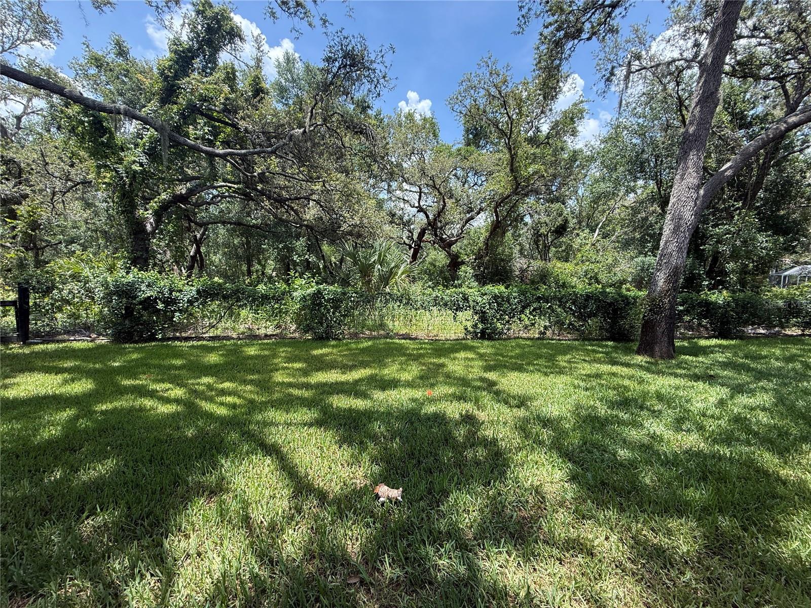 15024 EAGLEPARK PL, LITHIA, FL, 33547