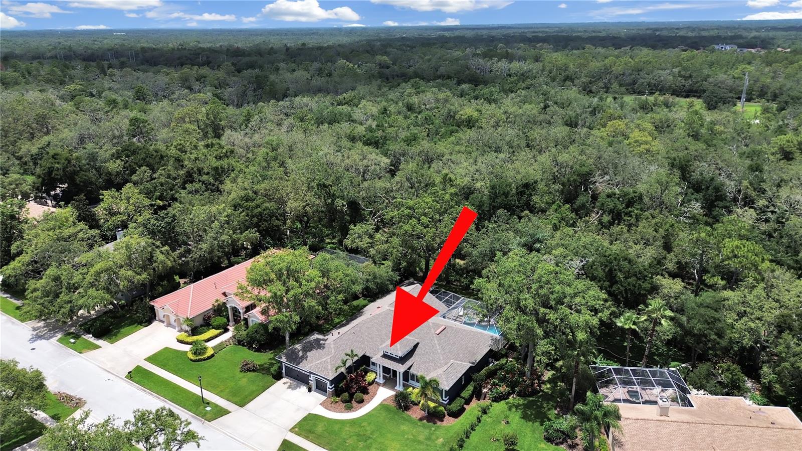 15024 EAGLEPARK PL, LITHIA, FL, 33547