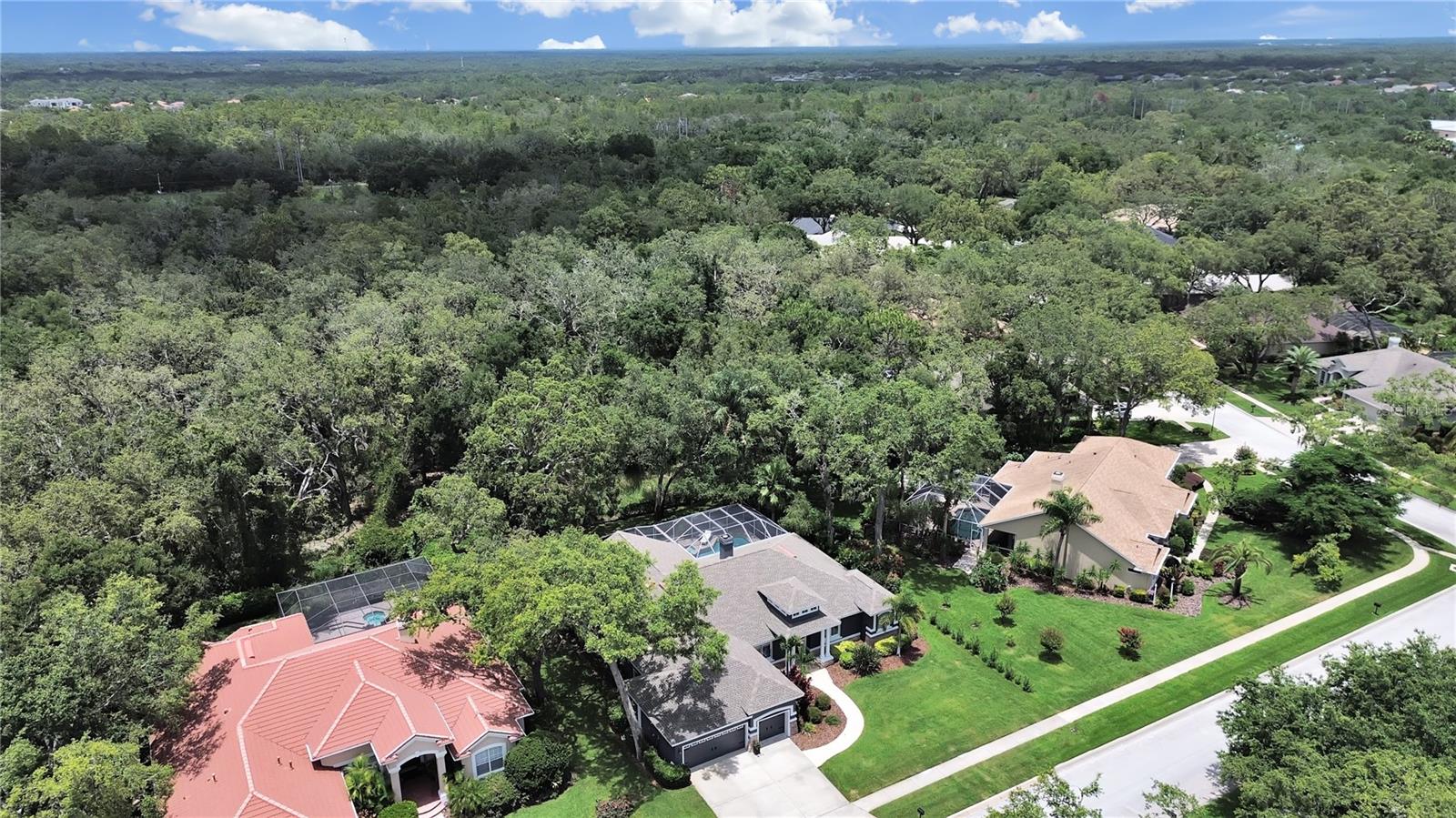 15024 EAGLEPARK PL, LITHIA, FL, 33547