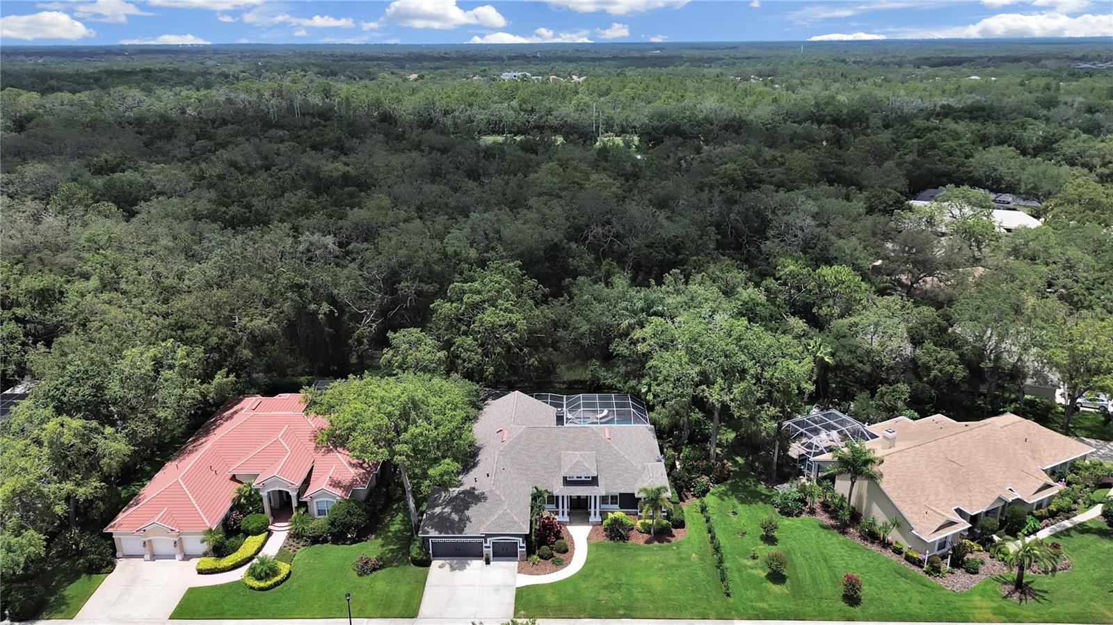 15024 EAGLEPARK PL, LITHIA, FL, 33547