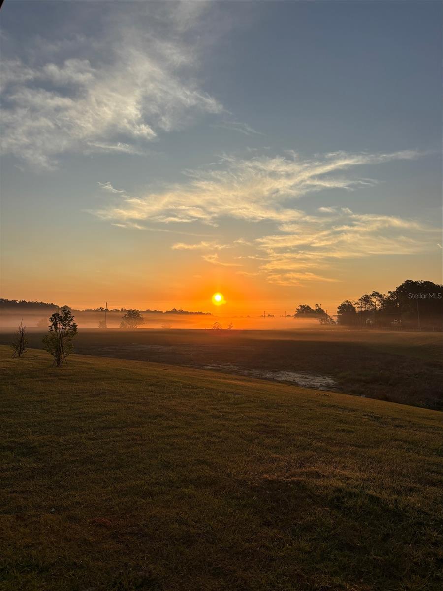 11530 ADAM LEE WAY, DADE CITY, FL, 33525