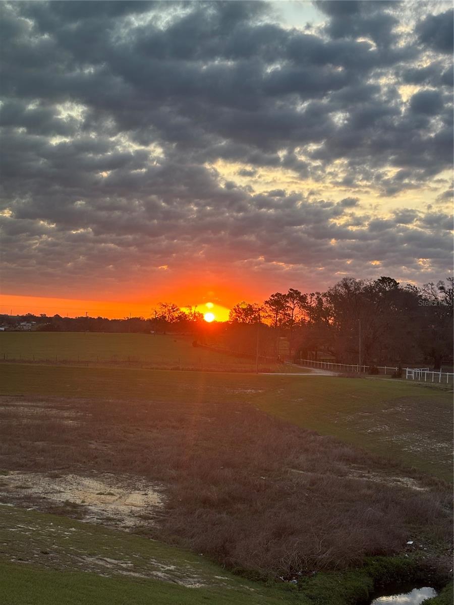 11530 ADAM LEE WAY, DADE CITY, FL, 33525