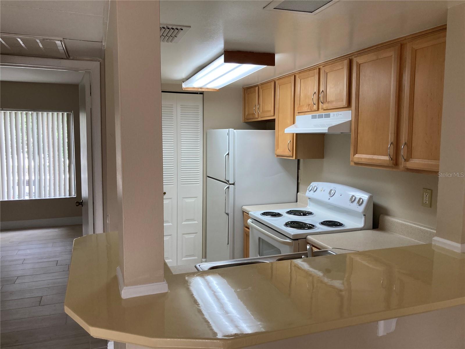 3840 N LAKE DR #126, TAMPA, FL, 33614