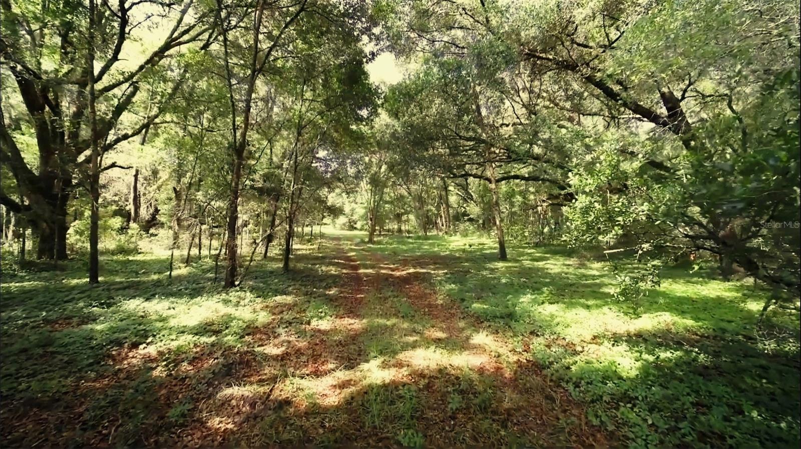 15422 SW 50TH AVE, ARCHER, FL, 32618