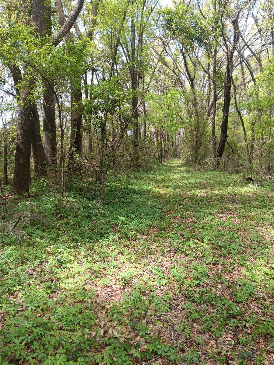 15422 SW 50TH AVE, ARCHER, FL, 32618