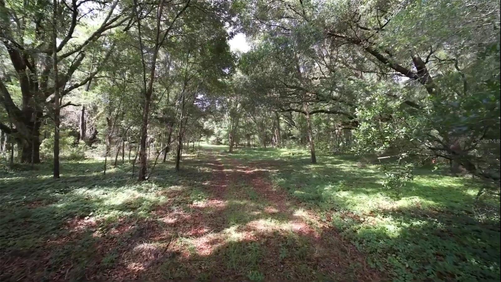 15422 SW 50TH AVE, ARCHER, FL, 32618