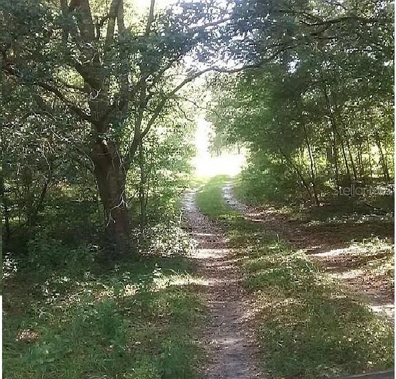 15422 SW 50TH AVE, ARCHER, FL, 32618