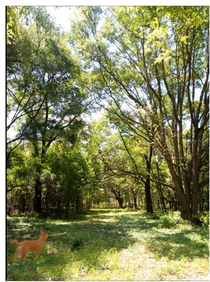 15422 SW 50TH AVE, ARCHER, FL, 32618