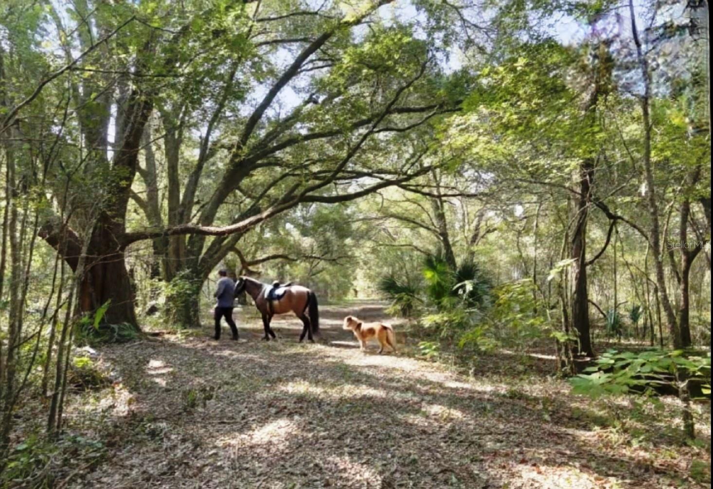 15422 SW 50TH AVE, ARCHER, FL, 32618