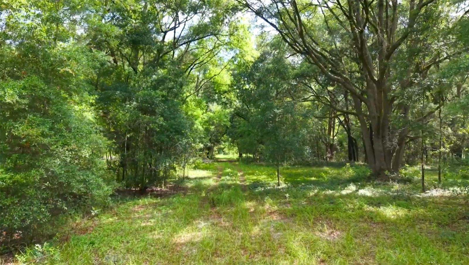 15422 SW 50TH AVE, ARCHER, FL, 32618