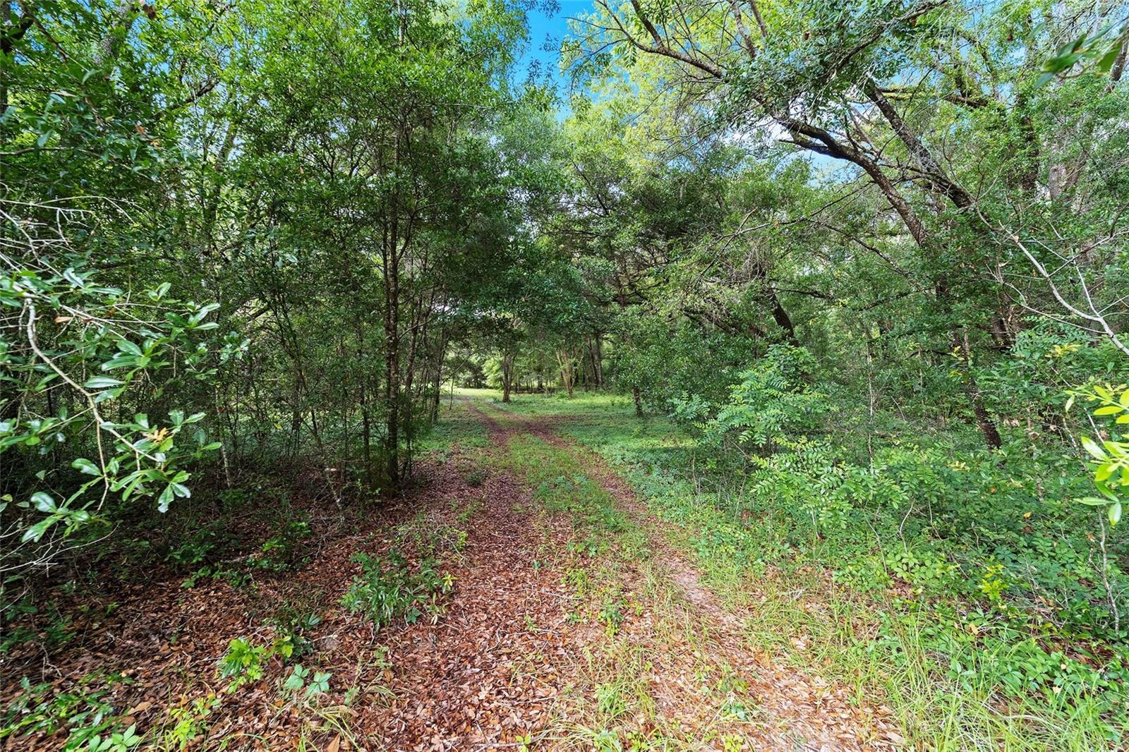 15422 SW 50TH AVE, ARCHER, FL, 32618