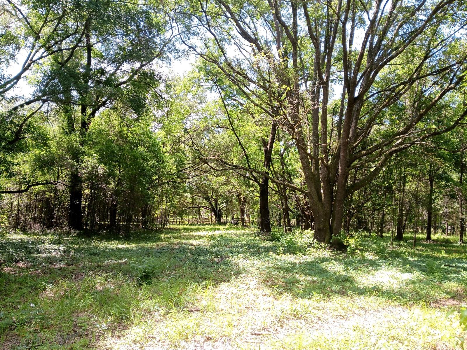 15422 SW 50TH AVE, ARCHER, FL, 32618