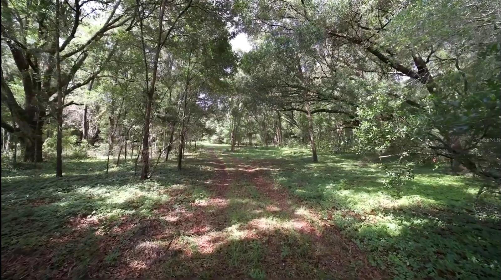 15422 SW 50TH AVE, ARCHER, FL, 32618