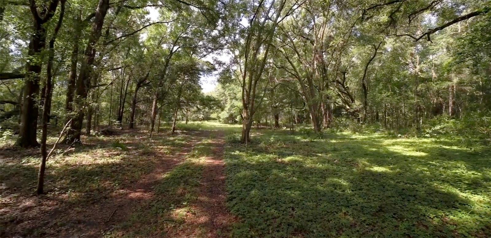 15422 SW 50TH AVE, ARCHER, FL, 32618