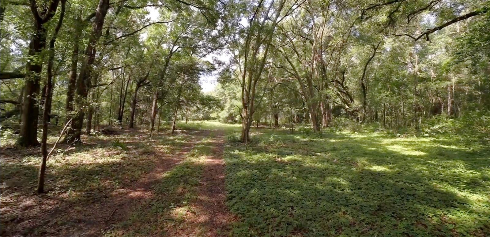 15422 SW 50TH AVE, ARCHER, FL, 32618