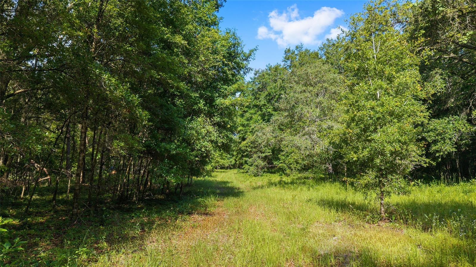 15422 SW 50TH AVE, ARCHER, FL, 32618