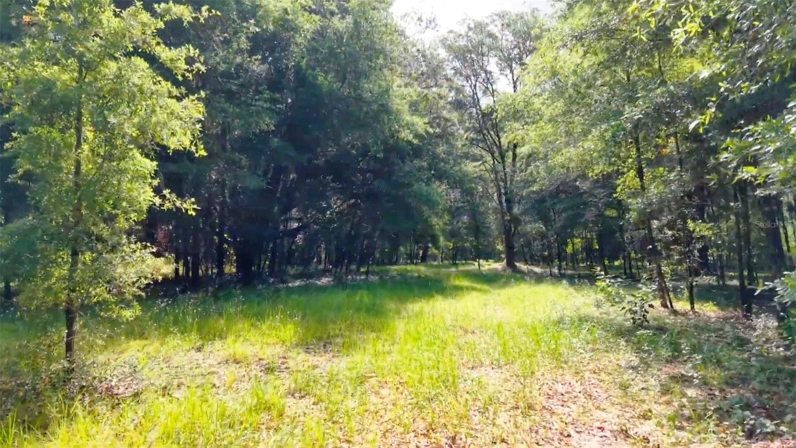 15422 SW 50TH AVE, ARCHER, FL, 32618