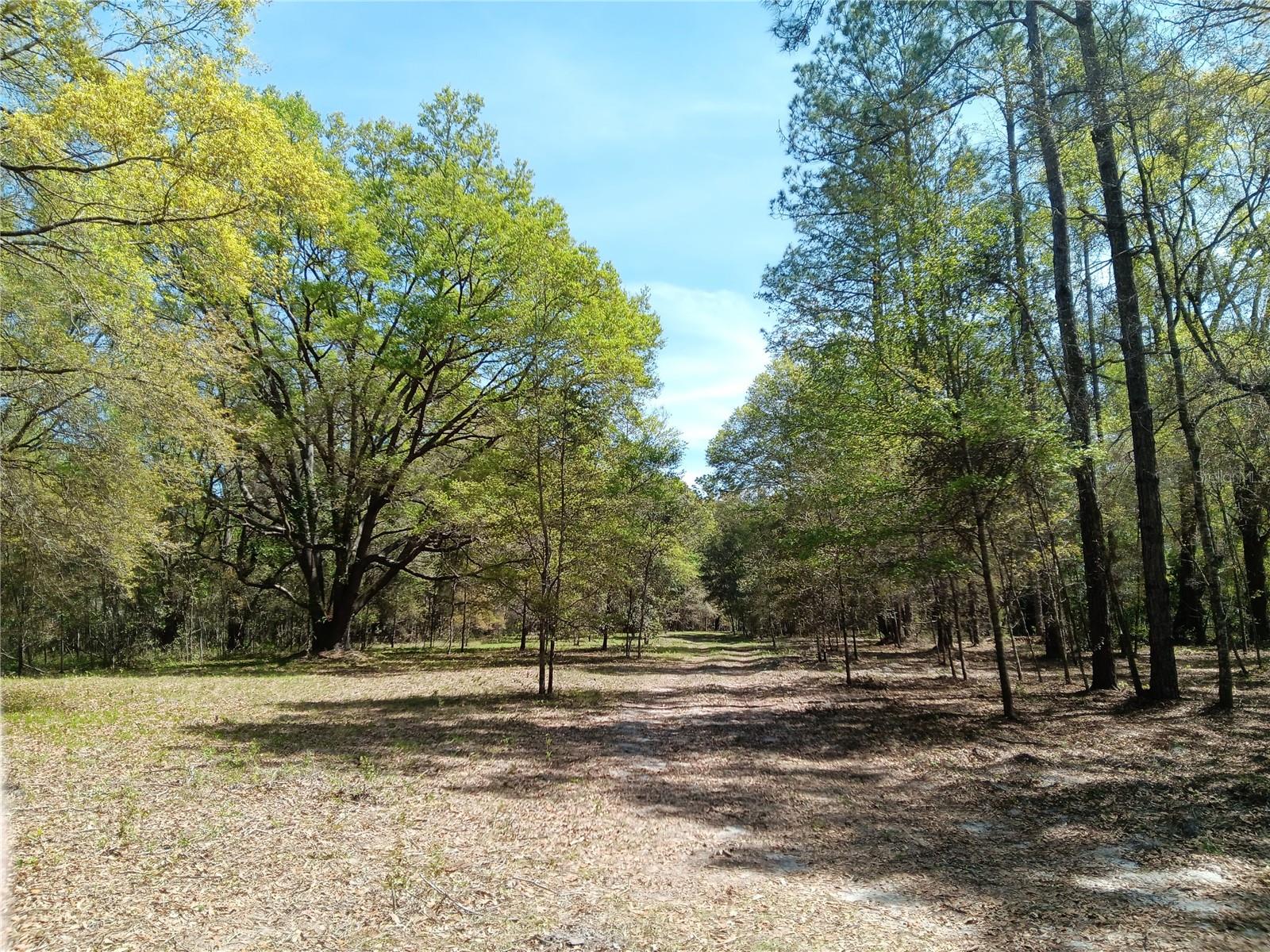 15422 SW 50TH AVE, ARCHER, FL, 32618