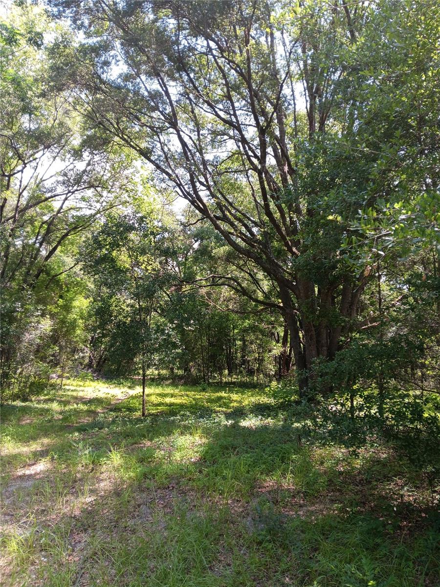 15422 SW 50TH AVE, ARCHER, FL, 32618