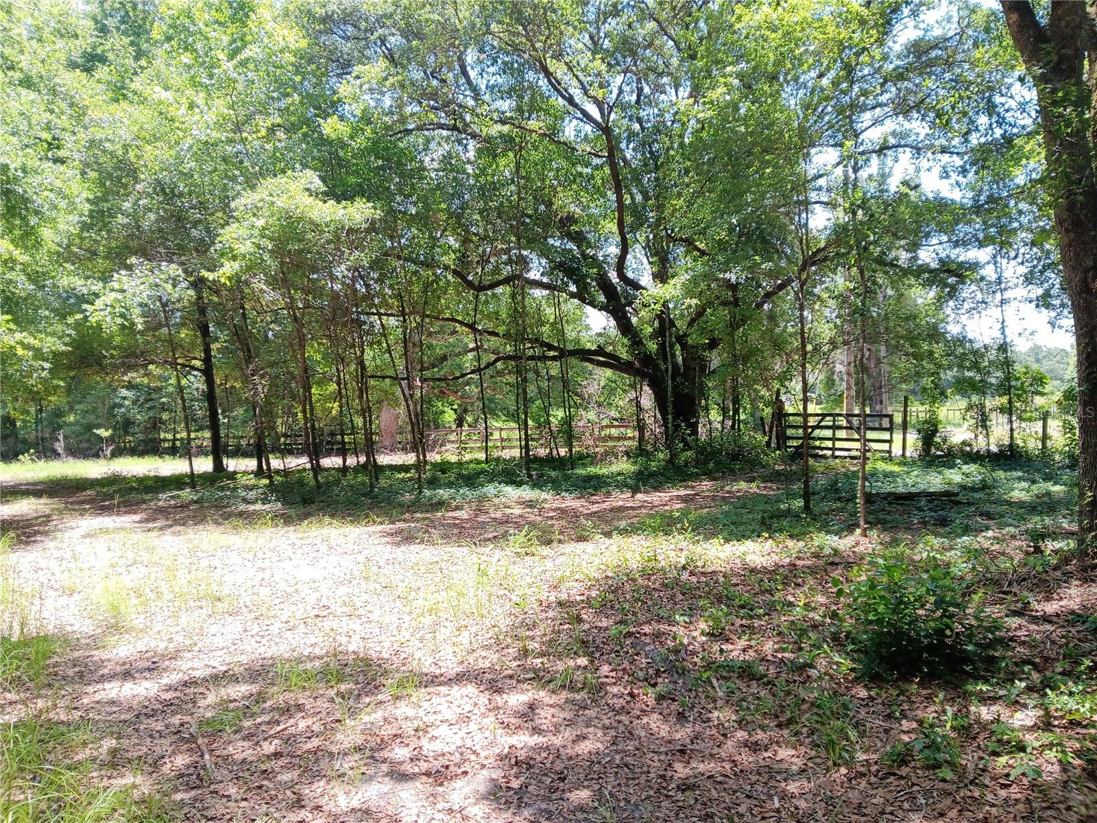 15422 SW 50TH AVE, ARCHER, FL, 32618