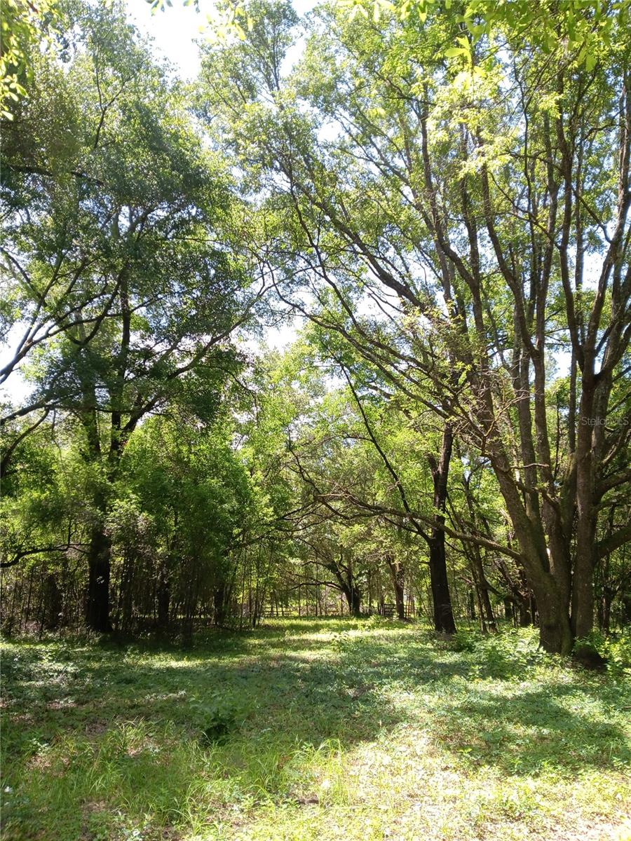 15422 SW 50TH AVE, ARCHER, FL, 32618