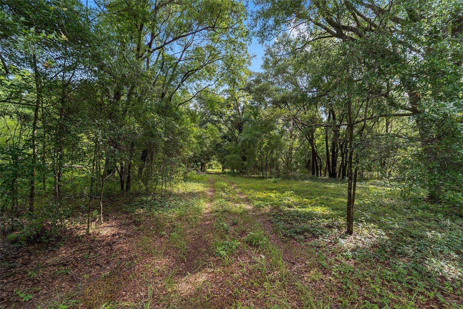 15422 SW 50TH AVE, ARCHER, FL, 32618